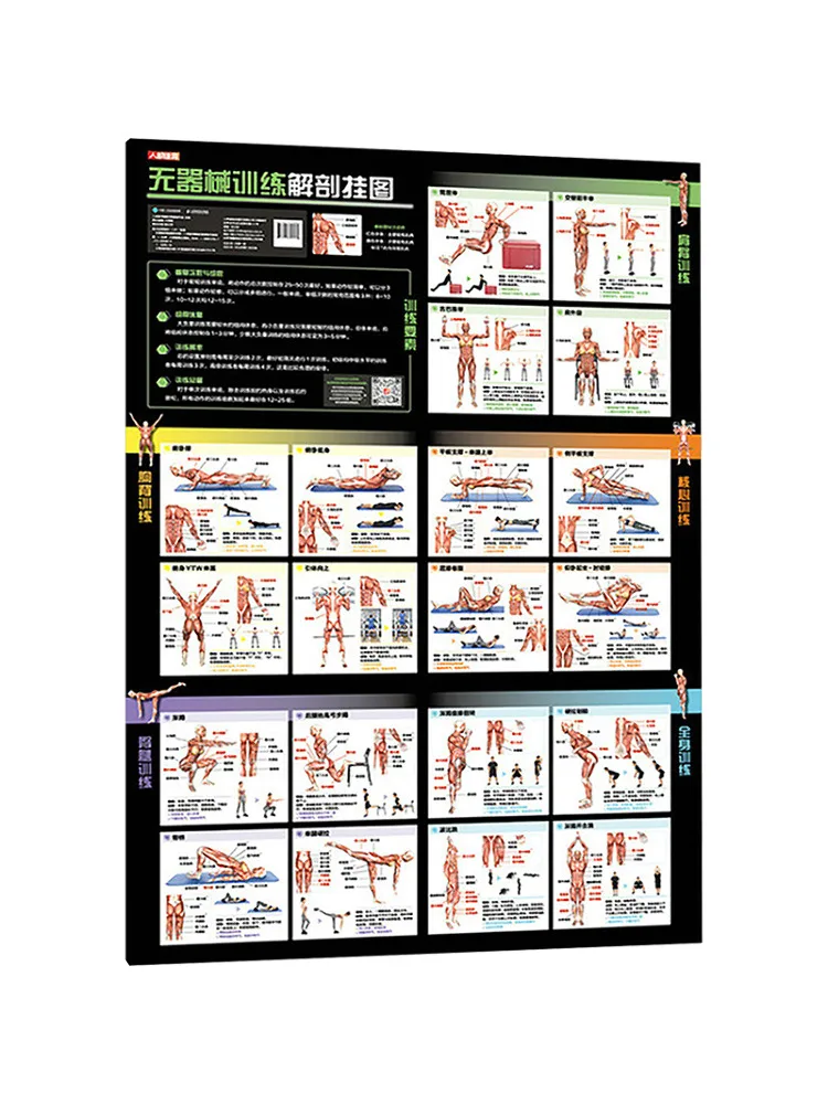 Book-Winshare Anatomical Chart For Instrument Free Training
Book-Winshare Anatomical Chart For Instrument Free Training
