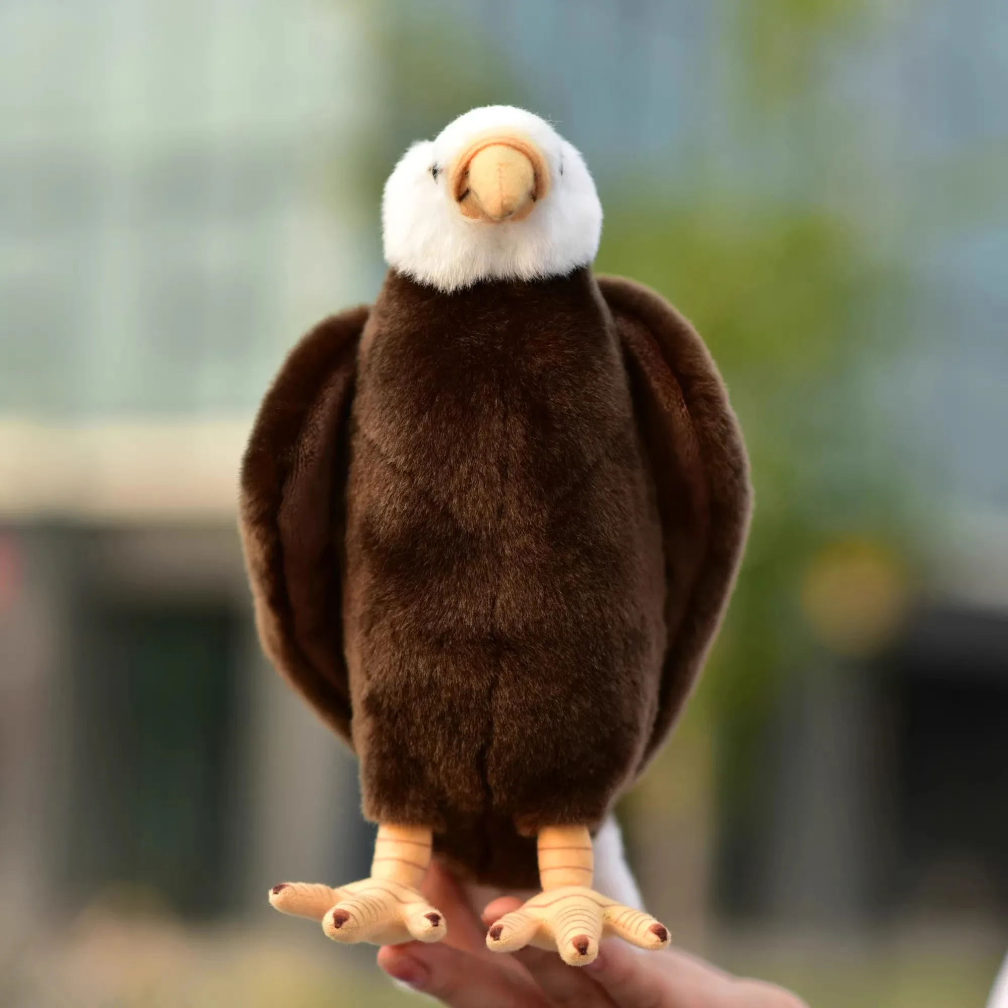 Simulation Bald Eagle Bald Eagle American Eagle Plush toy Animal Doll Novelty Gift Deco DY10321
Simulation Bald Eagle Bald Eagle American Eagle Plush toy Animal Doll Novelty Gift Deco DY10321
