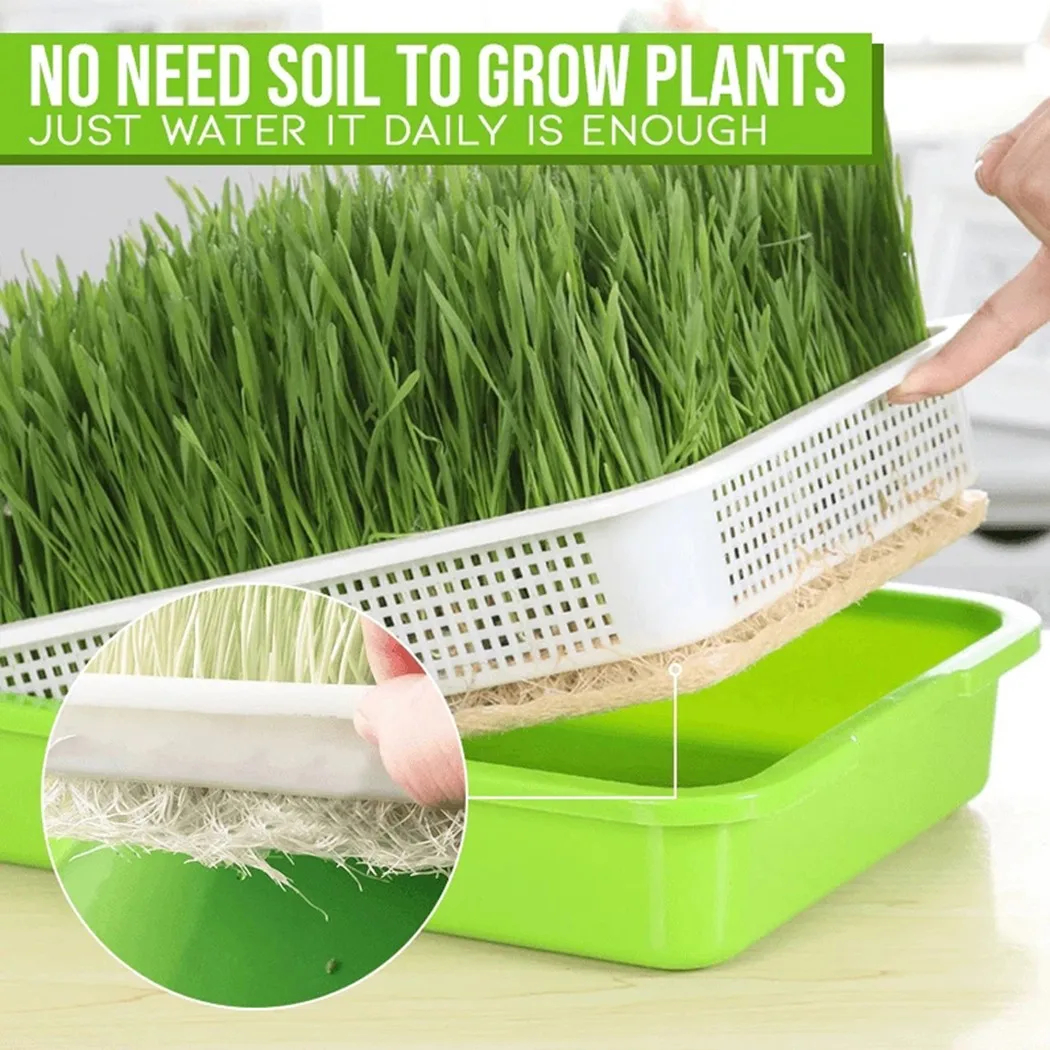 1pcs Plastic Sprouting Tray 33cmx26cmx5cm Microgreens Hydroponic Sprouting Tray For Sprouter Garden Hydroponic Accessories
1pcs Plastic Sprouting Tray 33cmx26cmx5cm Microgreens Hydroponic Sprouting Tray For Sprouter Garden Hydroponic Accessories
