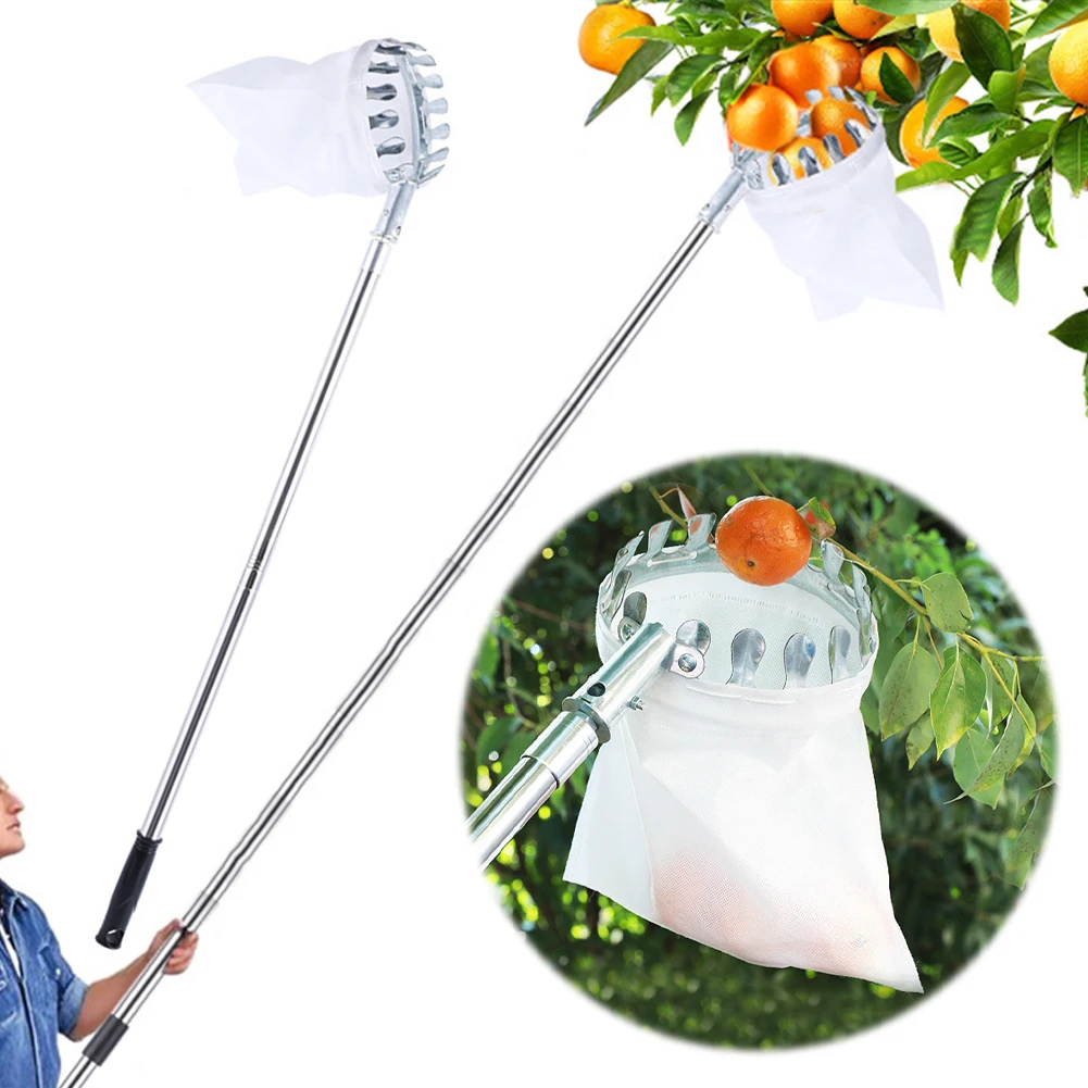Stainless Steel Splicing Rod Fruit Picker Telescopic Pole Fruits Picker Tool Fruit Picking Tool for Apples Mango Lemon Orange
Stainless Steel Splicing Rod Fruit Picker Telescopic Pole Fruits Picker Tool Fruit Picking Tool for Apples Mango Lemon Orange