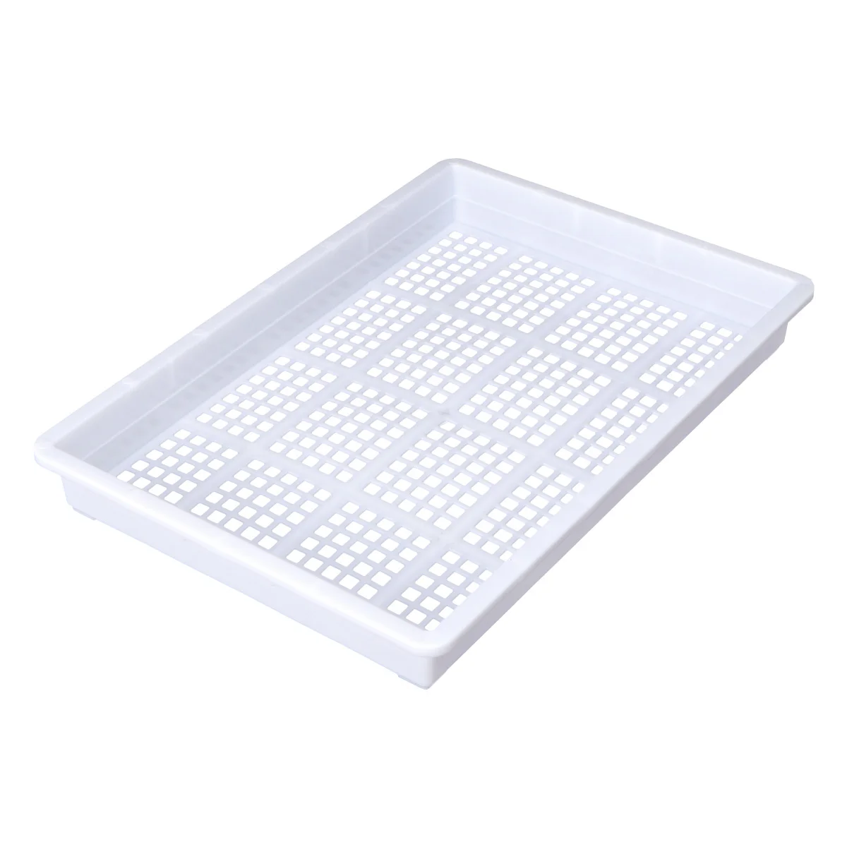 1pc Green Nursery with Drain Holes Durable Hydroponic Nursery Tray Soiless Tray Veggie Home Use
1pc Green Nursery with Drain Holes Durable Hydroponic Nursery Tray Soiless Tray Veggie Home Use