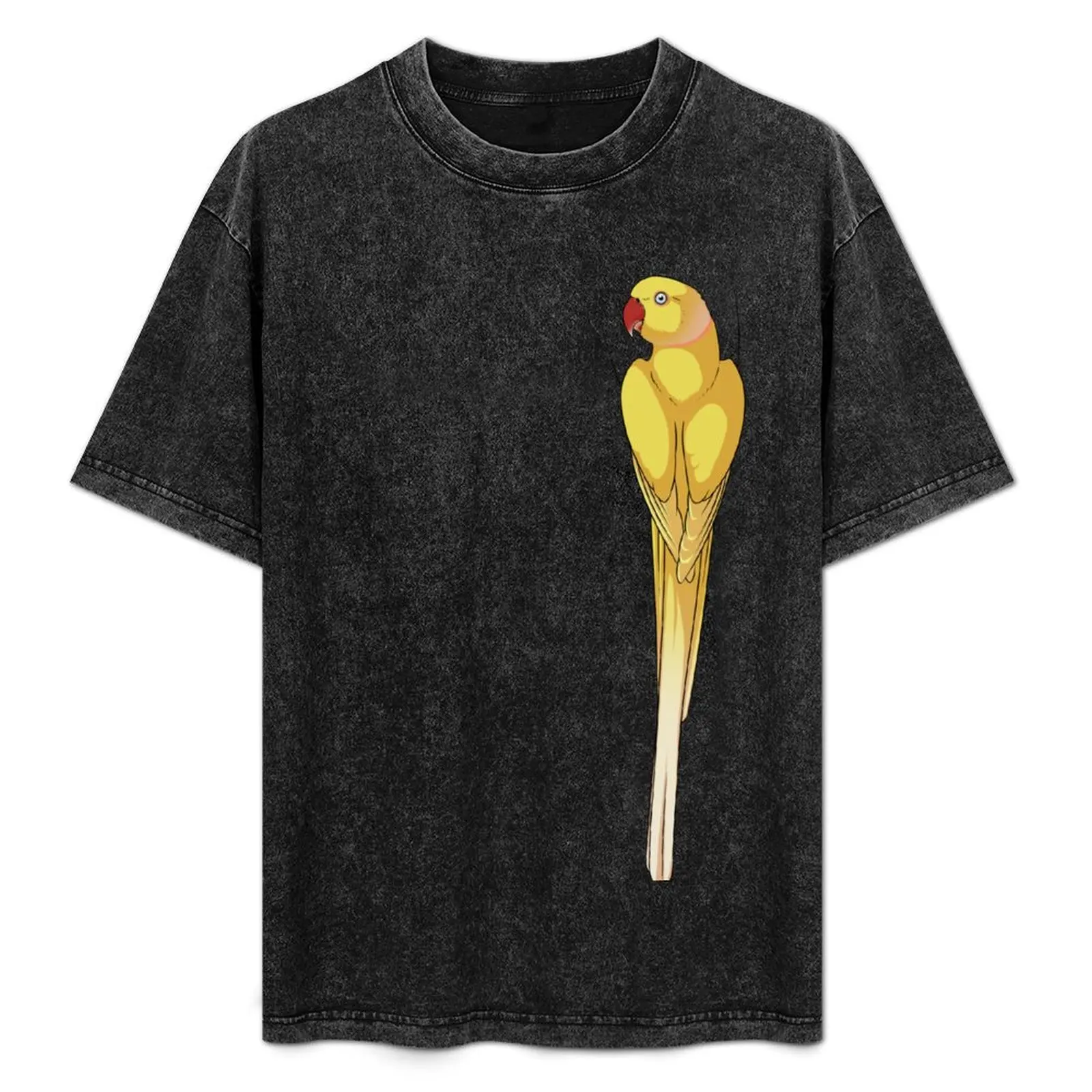 Lutino Indian Ringneck Parakeet T-Shirt Active Wear Sports T-Shirt for Men
Lutino Indian Ringneck Parakeet T-Shirt Active Wear Sports T-Shirt for Men