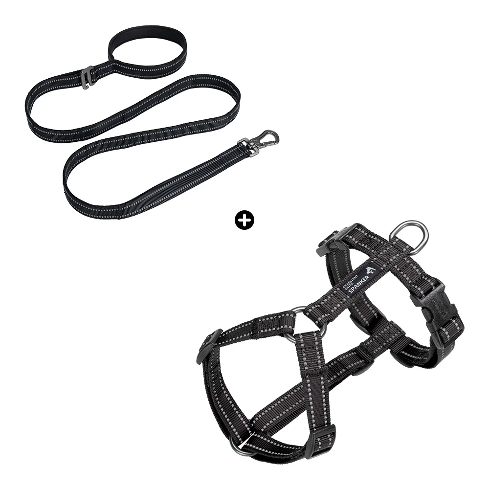 Dogs Harness Leash Set Lead Strap Night Reflection Dog Harness Leash Pet Towing Rope 1.5m Guard Rope Pet Walking Training Leash
Dogs Harness Leash Set Lead Strap Night Reflection Dog Harness Leash Pet Towing Rope 1.5m Guard Rope Pet Walking Training Leash