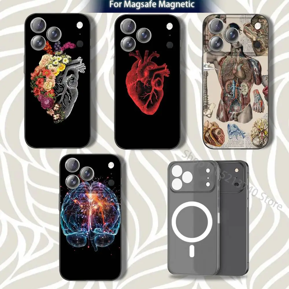 A-AnatomyS Art M-MedicalS Phone Case For iPhone 15,12,11,14,13,17,16,Plus,Air,Pro,Max,E,Mini for Magsafe Magnetic Frosted Grey
A-AnatomyS Art M-MedicalS Phone Case For iPhone 15,12,11,14,13,17,16,Plus,Air,Pro,Max,E,Mini for Magsafe Magnetic Frosted Grey