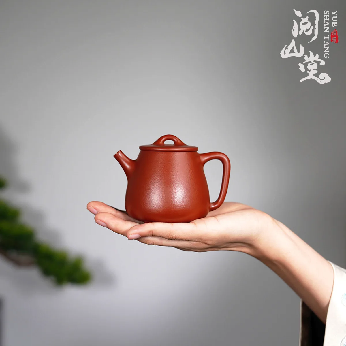 Yueshantang | High Stone Ladle Raw Ore Small Coal Kiln Zhu Ni Jin Yu Fully Handmade
Yueshantang | High Stone Ladle Raw Ore Small Coal Kiln Zhu Ni Jin Yu Fully Handmade