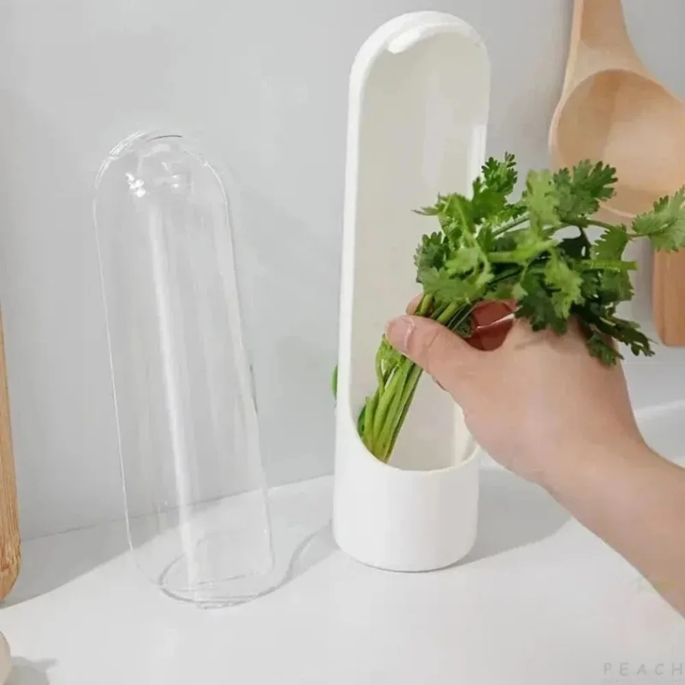 Vanilla vegetable preservation box, dust-proof and environmentally friendly storage box
Vanilla vegetable preservation box, dust-proof and environmentally friendly storage box