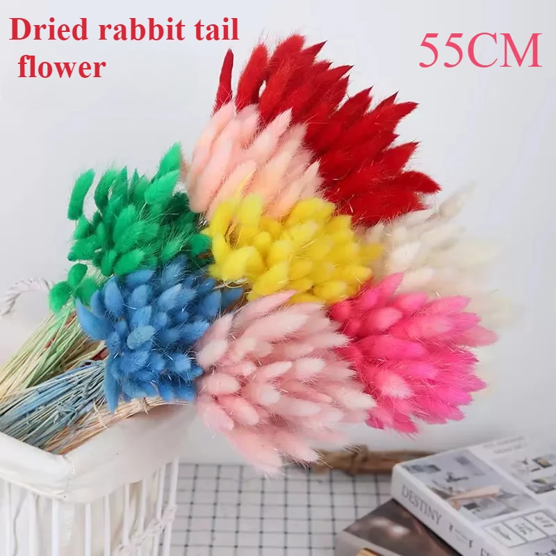 60pc Natural Rabbit Tail Grass Dried Bouquet, Immortal Dog Tail Grass for Wedding Party Decor DIY Home Craft Gift Decoration
60pc Natural Rabbit Tail Grass Dried Bouquet, Immortal Dog Tail Grass for Wedding Party Decor DIY Home Craft Gift Decoration
