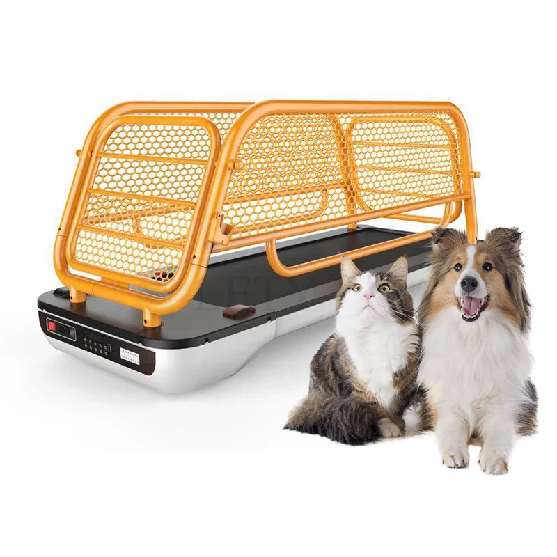 Pet Treadmill for Dogs and Cats Electric Animal Treadmill Dog Training Treadmill
Pet Treadmill for Dogs and Cats Electric Animal Treadmill Dog Training Treadmill