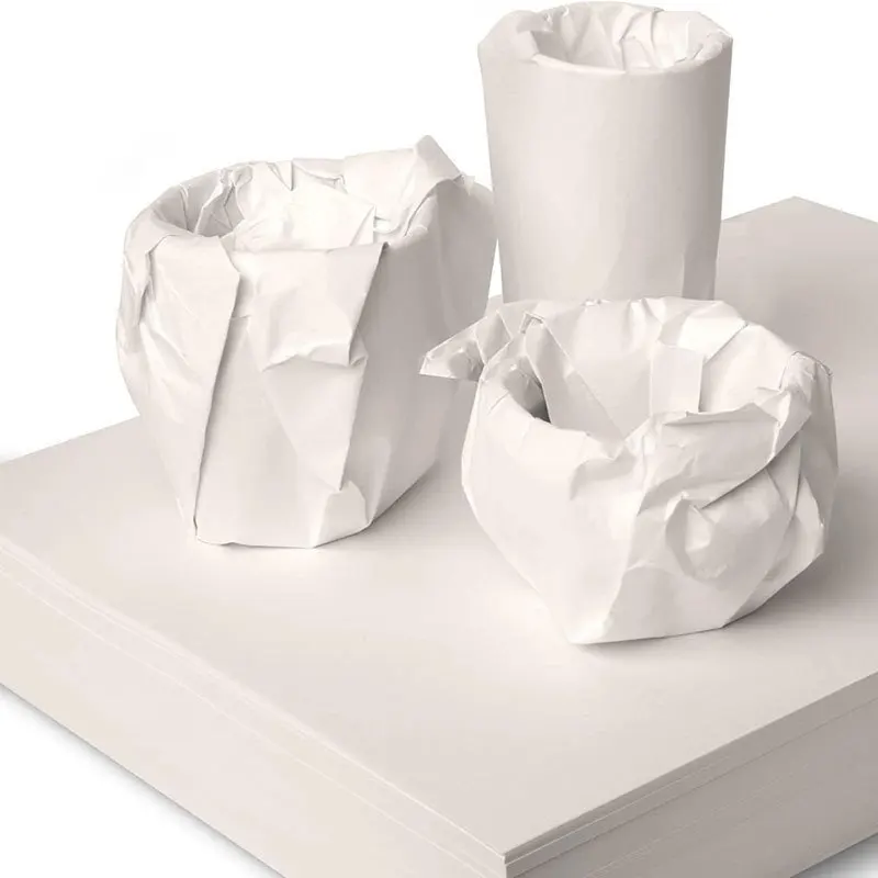 50Pcs Blank Packaging Paper Sturdy Newsprint Material for Gift Wrapping Retro Newspaper Sleeve Shipping Crafts School Office Use
50Pcs Blank Packaging Paper Sturdy Newsprint Material for Gift Wrapping Retro Newspaper Sleeve Shipping Crafts School Office Use