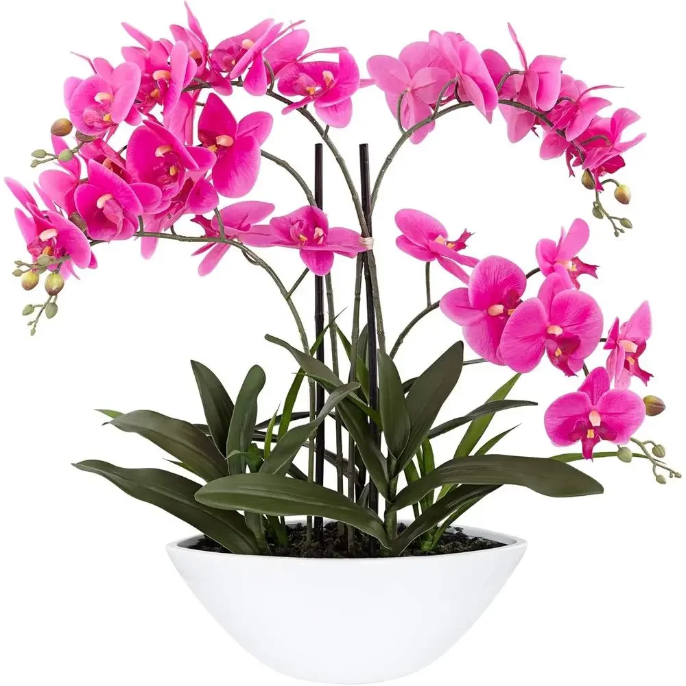 Realistic Pink Orchid in White Ceramic Oval Pot for Home and Cottage Decoration, 28 Tall
Realistic Pink Orchid in White Ceramic Oval Pot for Home and Cottage Decoration, 28 Tall