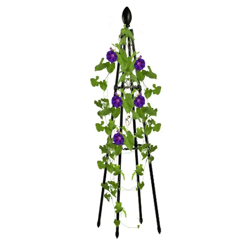 Climbing Plant Trellis Garden Tomato Support Cages For Flowers Plants Support Frame Trellis Climbing DIY Flower Vines Pot Stand
Climbing Plant Trellis Garden Tomato Support Cages For Flowers Plants Support Frame Trellis Climbing DIY Flower Vines Pot Stand