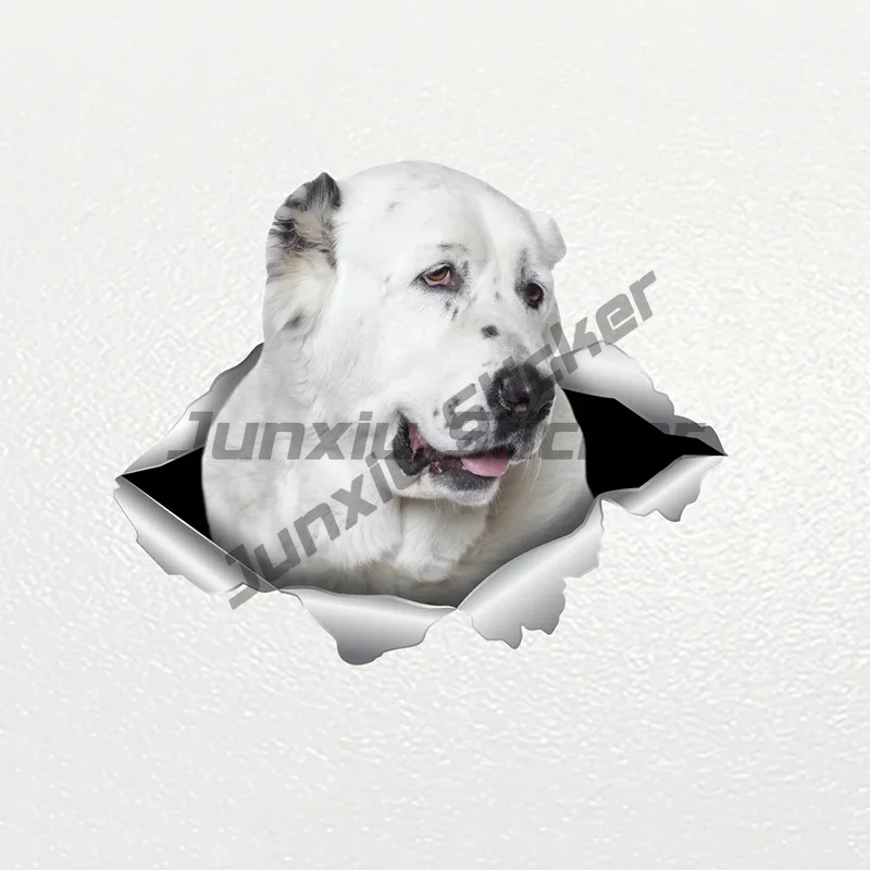 Car Sticker Alabai Dog Pet Animal Waterproof Vinyl Decal Car Accessories Decor Pegatinas Para Coche
Car Sticker Alabai Dog Pet Animal Waterproof Vinyl Decal Car Accessories Decor Pegatinas Para Coche