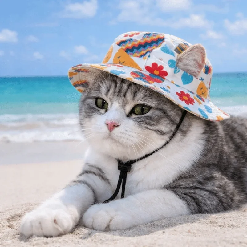 1PC Fashion Adjustable Dog Fisherman Hat Ear Exposed Breathable Dog Sunscreen Hat Comfortable Pet Baseball Cap Outdoor Travel
1PC Fashion Adjustable Dog Fisherman Hat Ear Exposed Breathable Dog Sunscreen Hat Comfortable Pet Baseball Cap Outdoor Travel