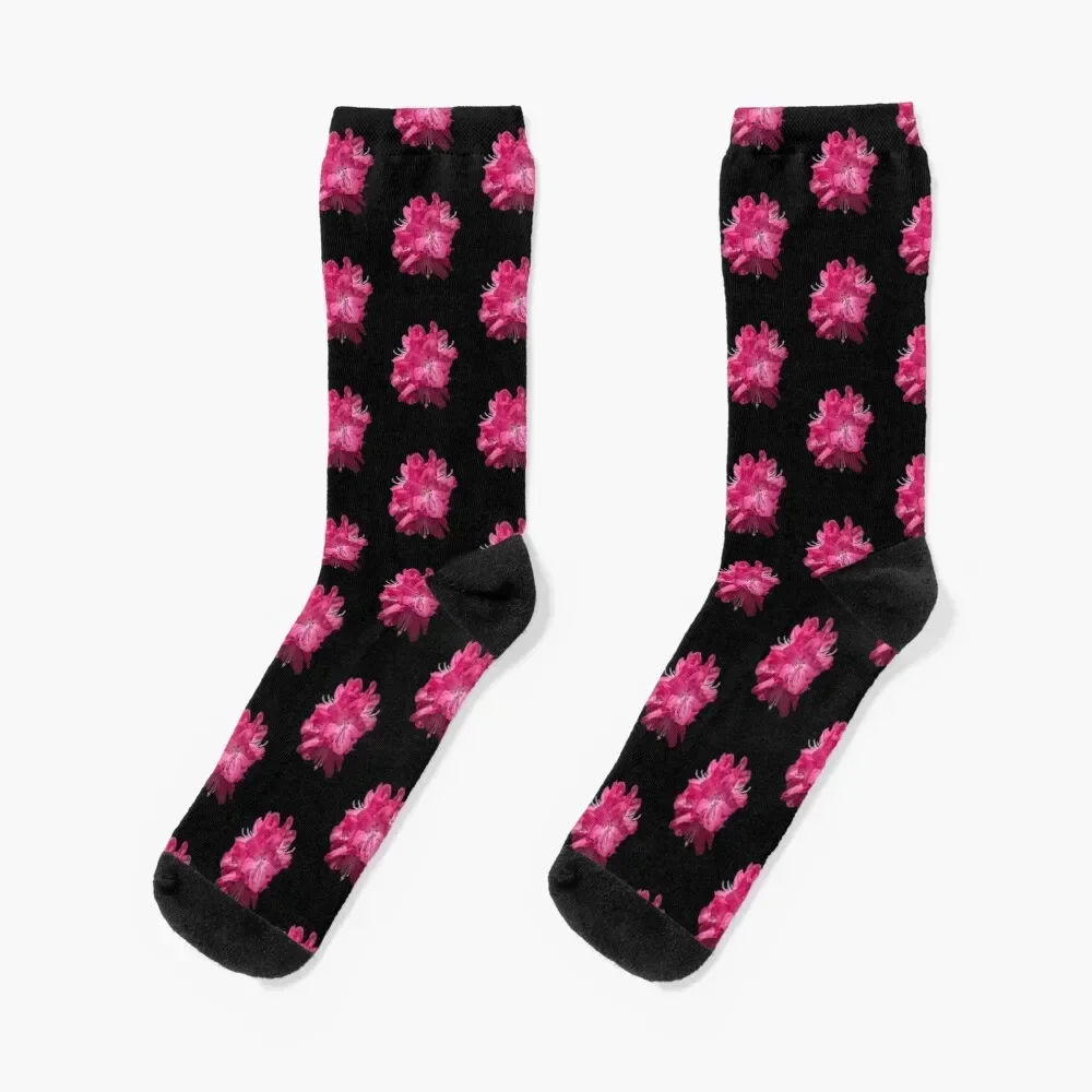 Pink Rhododendrons Socks christmas stocking Climbing Rugby short Socks Man Women's hip hop kawaii happy Socks Women Men's
Pink Rhododendrons Socks christmas stocking Climbing Rugby short Socks Man Women's hip hop kawaii happy Socks Women Men's
