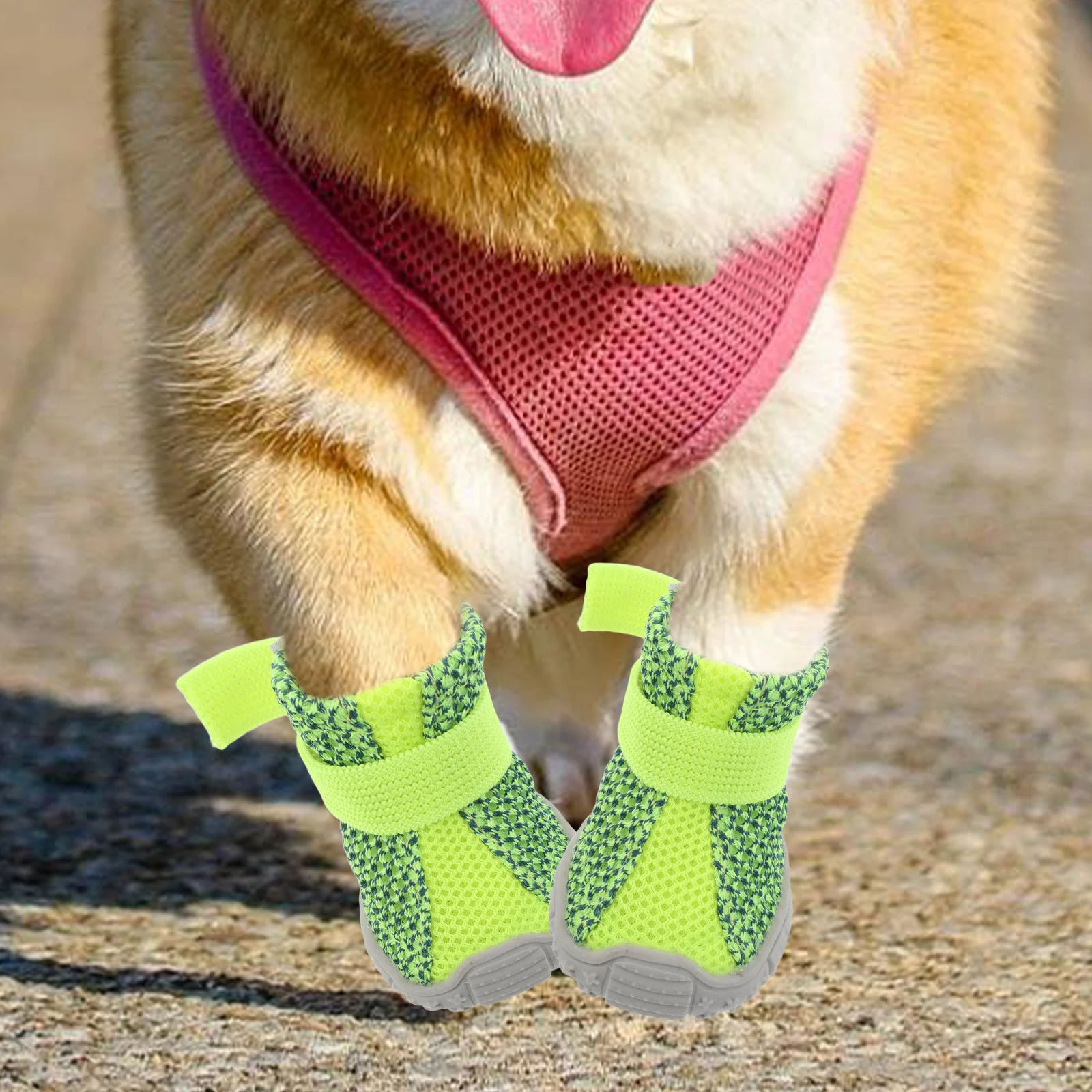 4pcs Pet Four Seasons Sports Shoes for Small Dogs Nonslip Lightweight Breathable Dog Booties Outdoor Walking Sneakers
4pcs Pet Four Seasons Sports Shoes for Small Dogs Nonslip Lightweight Breathable Dog Booties Outdoor Walking Sneakers