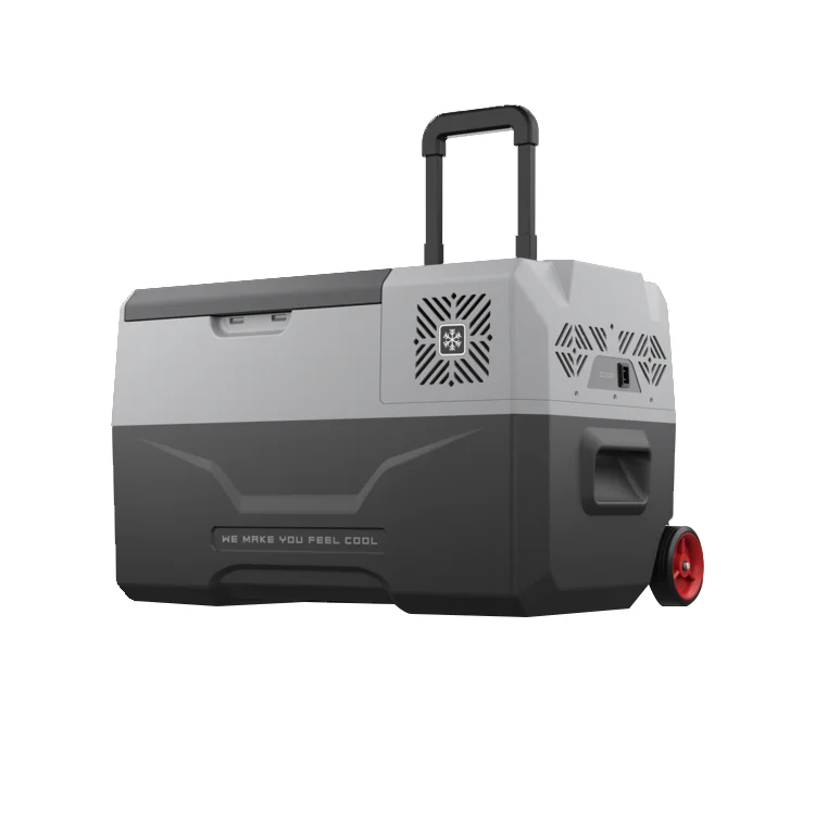 Dual Zone12v 24v Fridges Cooler Box Car Fridge Freezer Portable Refrigerator for Camping
Dual Zone12v 24v Fridges Cooler Box Car Fridge Freezer Portable Refrigerator for Camping