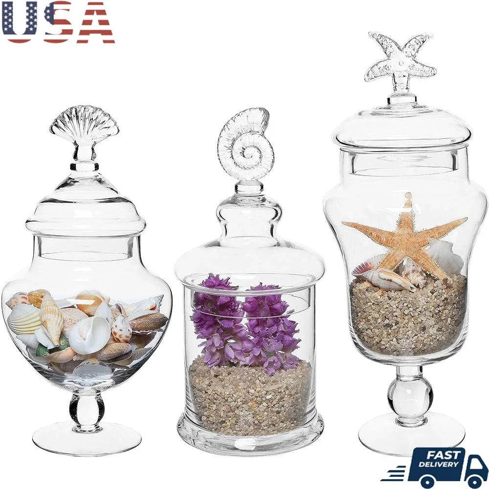 Clear Glass Apothecary Jars Set of 3 Decorative Candy Buffet Containers with Seashell Lid Bathroom Canisters Home Storage
Clear Glass Apothecary Jars Set of 3 Decorative Candy Buffet Containers with Seashell Lid Bathroom Canisters Home Storage