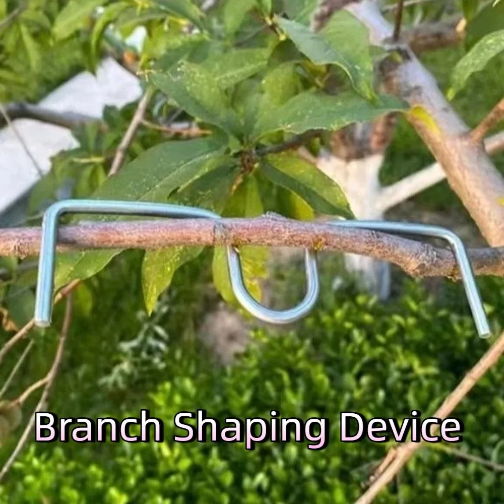 10Pcs M-Shaped Fruit Tree Branch Puller Metal Branch Bends Branch Shaping Device Heavy-Duty Shape Fixator Tree Branch Bender
10Pcs M-Shaped Fruit Tree Branch Puller Metal Branch Bends Branch Shaping Device Heavy-Duty Shape Fixator Tree Branch Bender
