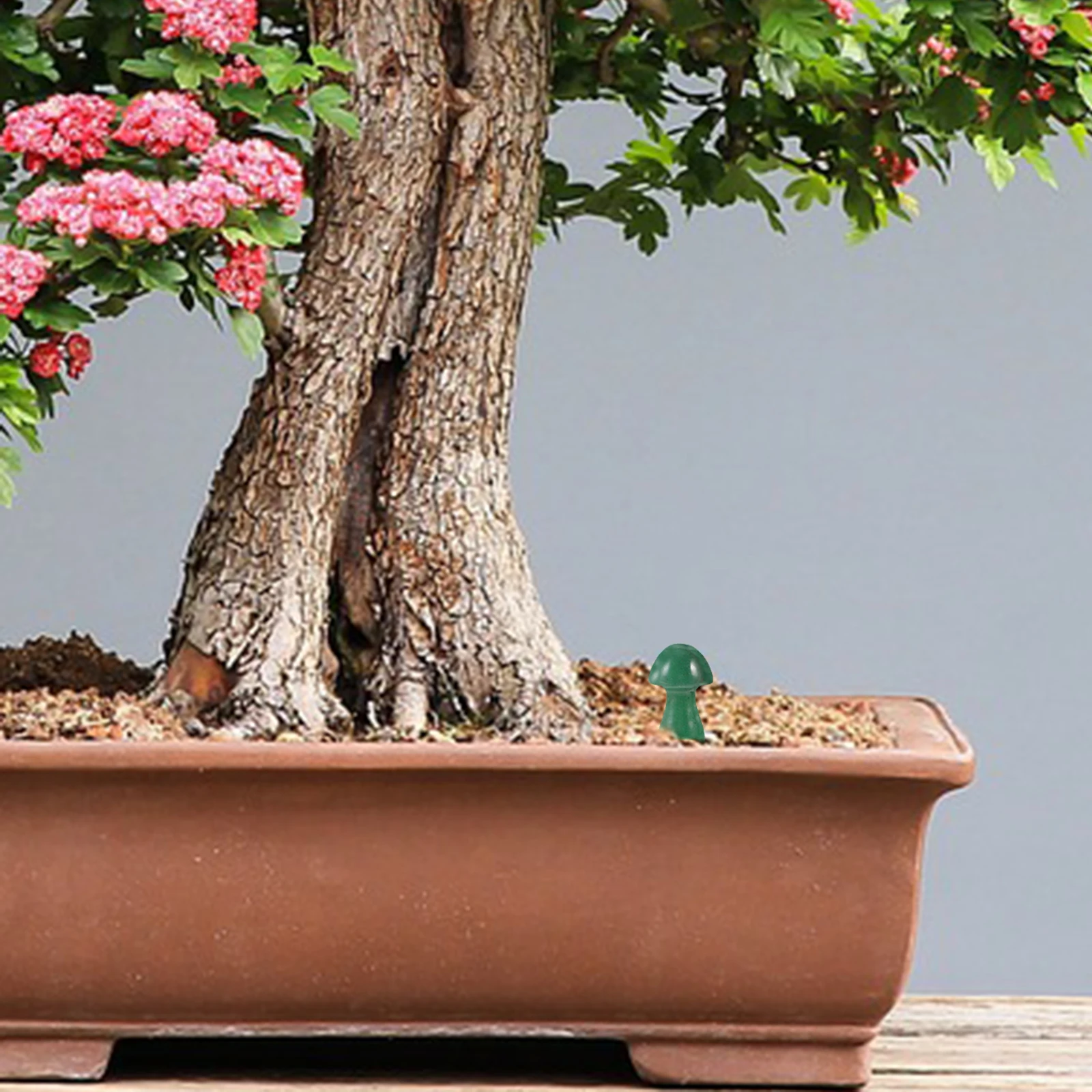 2 Pcs Crystal Semi Gemstone Mushroom Stone Decorations Lifelike Mini Adornments for Outdoor Garden Flowerpot Landscaping
2 Pcs Crystal Semi Gemstone Mushroom Stone Decorations Lifelike Mini Adornments for Outdoor Garden Flowerpot Landscaping
