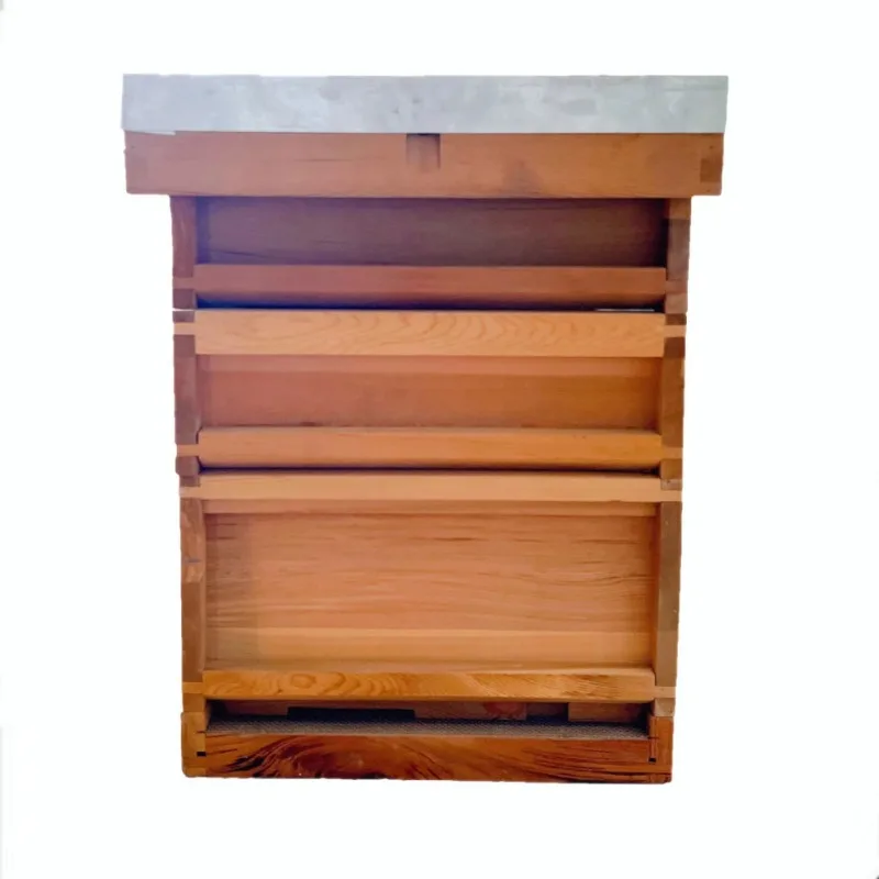 Beekeeping Tools Ten Box Hive New Condition Beekeeping Equipment From China Supplier
Beekeeping Tools Ten Box Hive New Condition Beekeeping Equipment From China Supplier