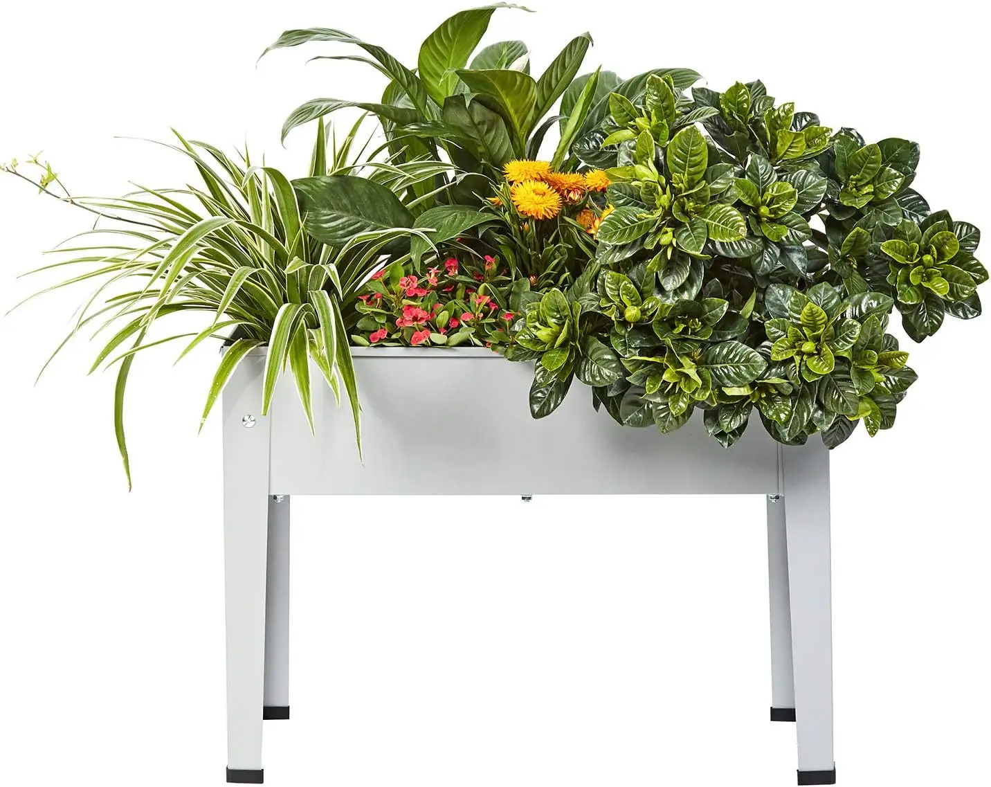 Raised Garden Bed with Legs, Galvanized Planter for Herbs and Vegetables, 24" Grey
Raised Garden Bed with Legs, Galvanized Planter for Herbs and Vegetables, 24" Grey