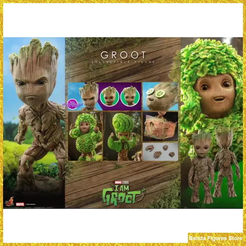Оригинальные игрушки HOTTOYS HT TMS088 1/6 Groot супергерой милая маленькая игрушка-дерево полный комплект около 26 см
Оригинальные игрушки HOTTOYS HT TMS088 1/6 Groot супергерой милая маленькая игрушка-дерево полный комплект около 26 см