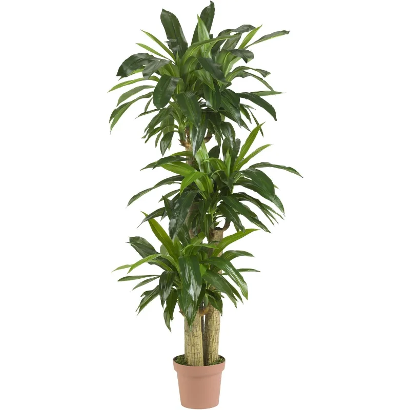 Искусственное растение из стеблей кукурузы Dracaena, высокое искусственное растение для домашнего декора, искусственное растение Real Touch
Искусственное растение из стеблей кукурузы Dracaena, высокое искусственное растение для домашнего декора, искусственное растение Real Touch