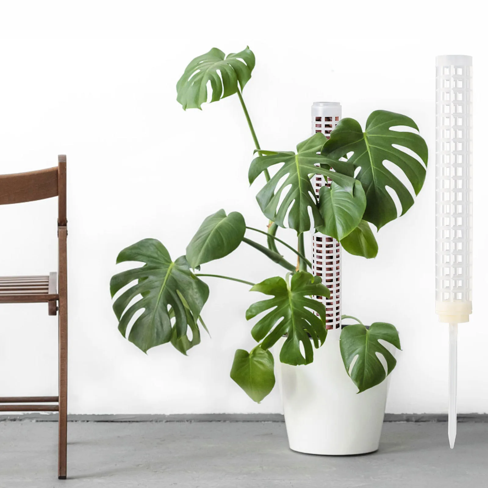 Moss Totem Poles Plastic White Climbing Plants Rack Indoor Outdoor Vines Plants Support Stand Gardening Practical Tools
Moss Totem Poles Plastic White Climbing Plants Rack Indoor Outdoor Vines Plants Support Stand Gardening Practical Tools