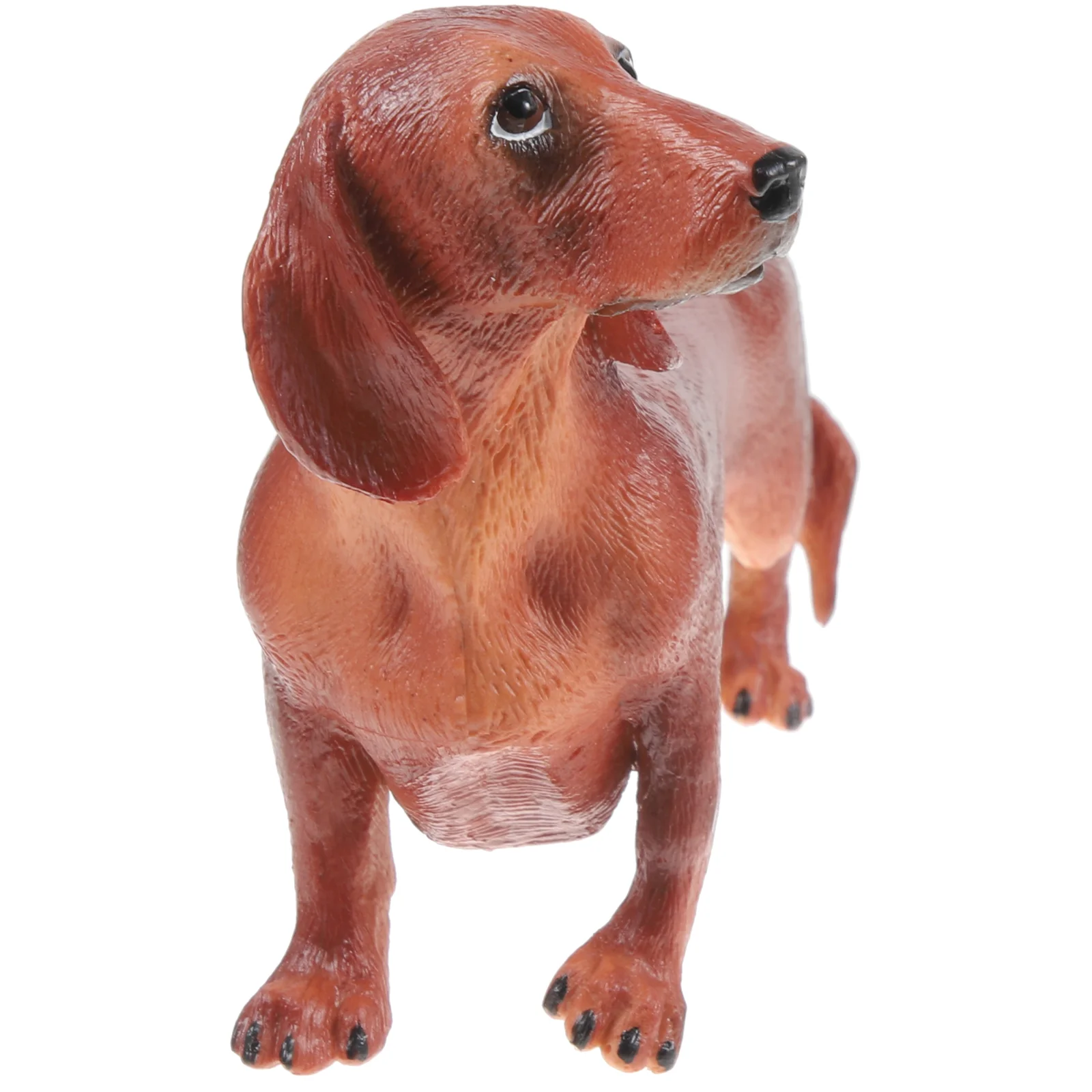 Dachshund Toy Fake Animal Model Dog Simulation Figurine Figures Statue Decor Figurines Puppy
Dachshund Toy Fake Animal Model Dog Simulation Figurine Figures Statue Decor Figurines Puppy