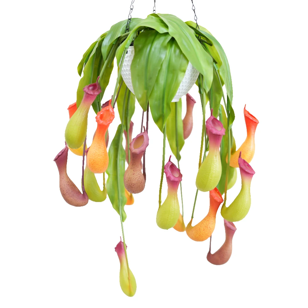 1Pc 29.9" Artificial Nepenthes Lifelike Faux Pitcher Plant Hanging Vine Green Plant for Vase Bouquets Home Office Wedding Decor
1Pc 29.9" Artificial Nepenthes Lifelike Faux Pitcher Plant Hanging Vine Green Plant for Vase Bouquets Home Office Wedding Decor