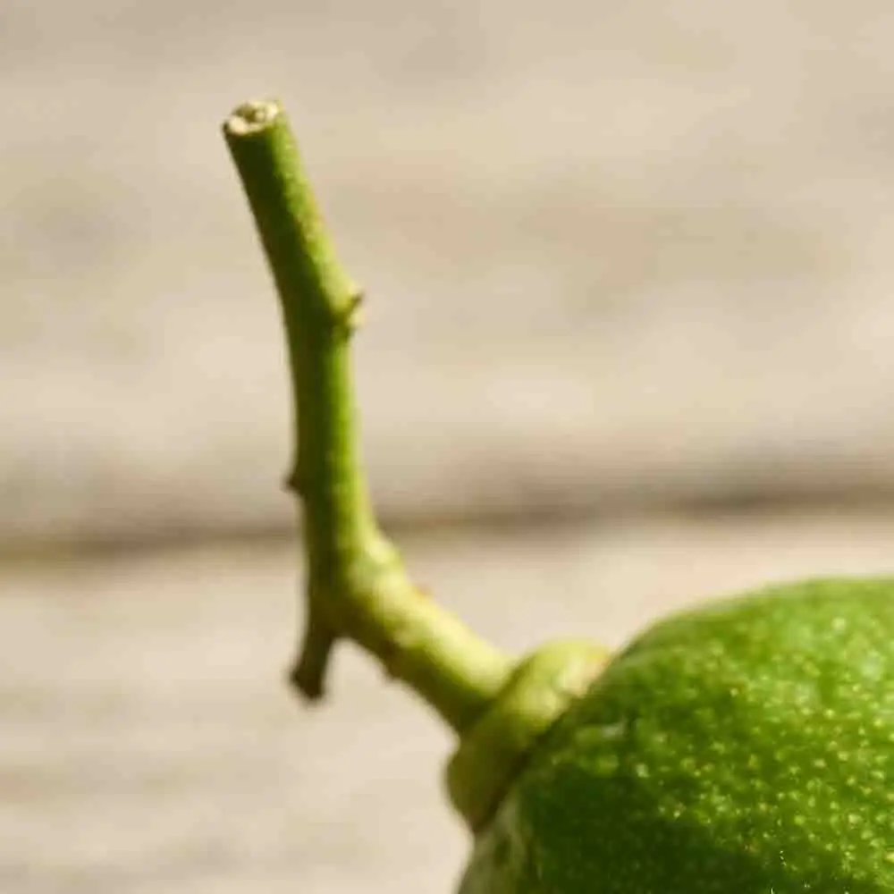 Система настройки SKYRC для моделей 1:10: Точные измерения для гоночного оборудования и аксессуаров для радиоуправляемых моделей 1:10
Система настройки SKYRC для моделей 1:10: Точные измерения для гоночного оборудования и аксессуаров для радиоуправляемых моделей 1:10