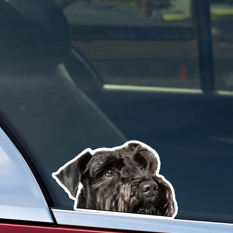 1pc Adorable Schnauzer Vinyl Decal, Waterproof Scratch-Resistant Sticker for Cars Motorcycles Bicycles Windows & Walls
1pc Adorable Schnauzer Vinyl Decal, Waterproof Scratch-Resistant Sticker for Cars Motorcycles Bicycles Windows & Walls