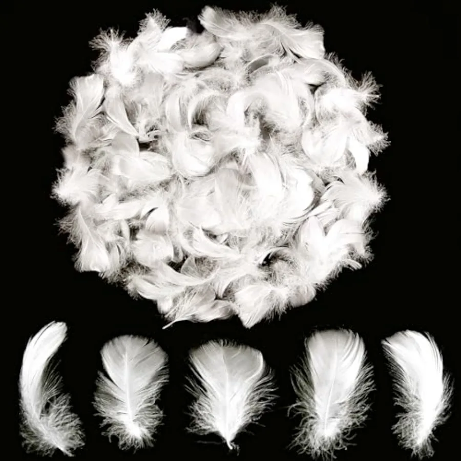 Lamar 300Pcs 2-3'' White Feathers Bulk for Crafting, Dream Catcher Accessories, Art Projects, DIY Crafting, Handi Crafts, Party
Lamar 300Pcs 2-3'' White Feathers Bulk for Crafting, Dream Catcher Accessories, Art Projects, DIY Crafting, Handi Crafts, Party