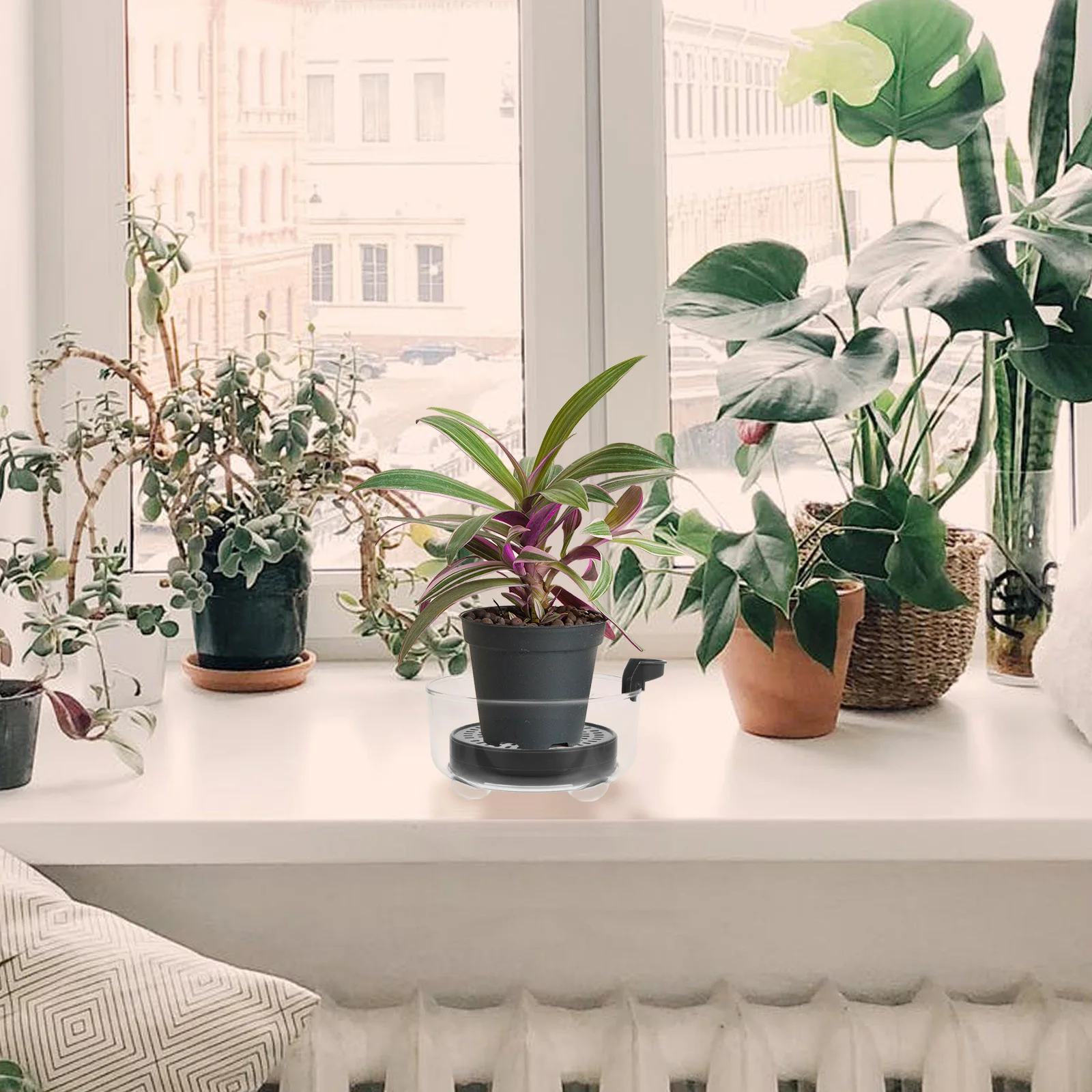 1pc Deep Plastic Tray Large Clear Water Retention Saucer For Indoor Outdoor Plants Self Watering System Heavy Duty Drainage
1pc Deep Plastic Tray Large Clear Water Retention Saucer For Indoor Outdoor Plants Self Watering System Heavy Duty Drainage