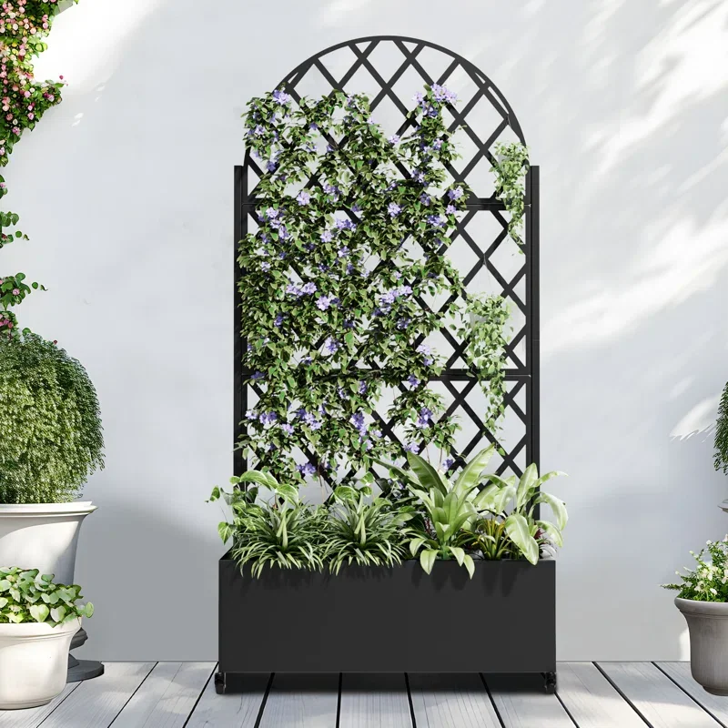 Planter With Trellis Wheels Outdoor Metal Raised Garden Bed With Lattice Trellis For Climbing Plants Black Flower Boxes Outdoor
Planter With Trellis Wheels Outdoor Metal Raised Garden Bed With Lattice Trellis For Climbing Plants Black Flower Boxes Outdoor