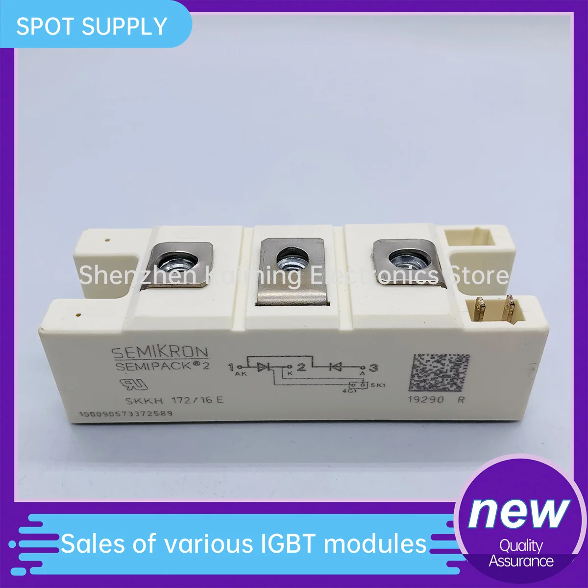 NEW AND ORIGINAL IGBT THYRISTOR IGBT MODULE SKKH172/16E SKKH172/18E SKKT172/12E SKKT172/14E in stock
NEW AND ORIGINAL IGBT THYRISTOR IGBT MODULE SKKH172/16E SKKH172/18E SKKT172/12E SKKT172/14E in stock