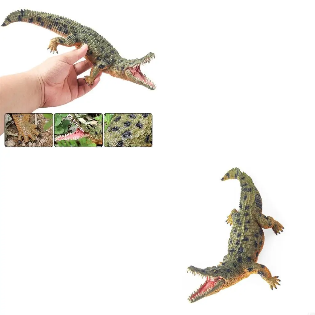 Реалистичная модель аллигатора Интерактивное обучение биология обучение игрушка
Реалистичная модель аллигатора Интерактивное обучение биология обучение игрушка