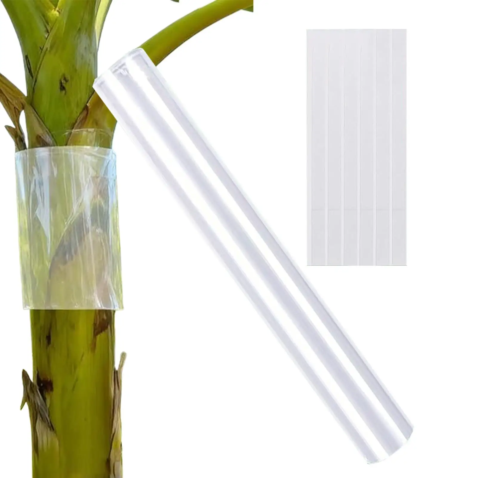 Tree Wrap With Tape Waterproof Thickened Cover Iguana Climbing Tree Barrier Protection For Garden Patio Pathway Backyard Orchard
Tree Wrap With Tape Waterproof Thickened Cover Iguana Climbing Tree Barrier Protection For Garden Patio Pathway Backyard Orchard