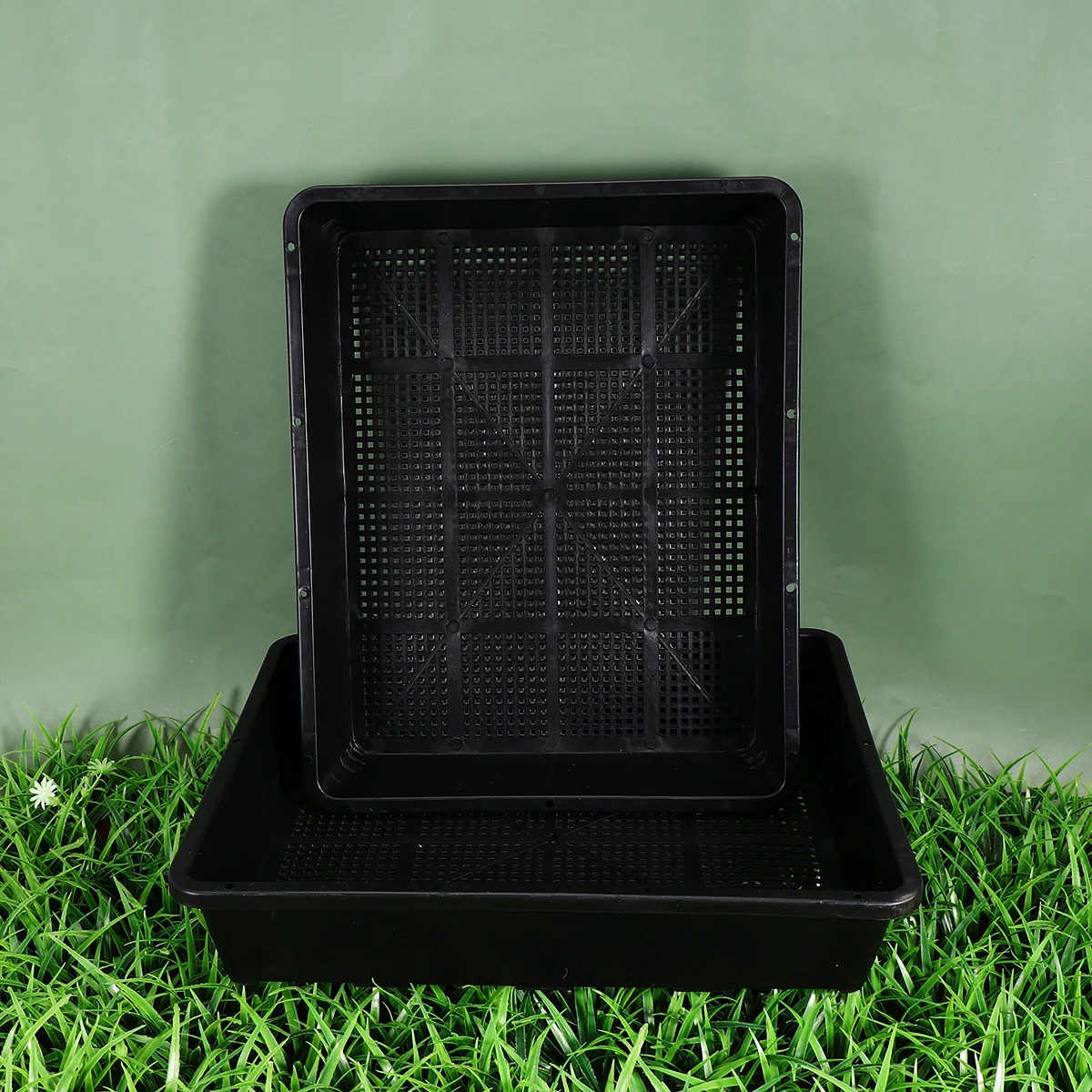 2Pcs Plant Sprouter Tray Nursery Plates Plastic Grower Tray Multipurpose for Balcony Home Garden Agriculture 37x30cm
2Pcs Plant Sprouter Tray Nursery Plates Plastic Grower Tray Multipurpose for Balcony Home Garden Agriculture 37x30cm
