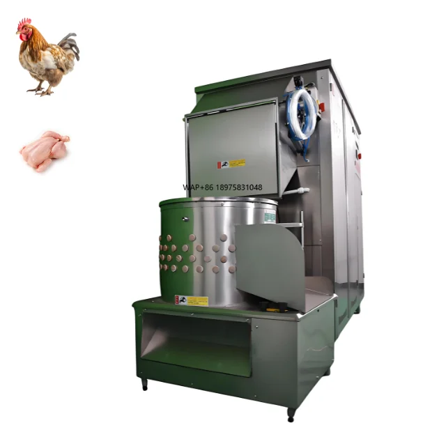 500 BPH Slaughterhouse Plant Poultry Processing Abattoir Equipment Bearing Broiler Chicken Scalder Plucker Slaughtering System
500 BPH Slaughterhouse Plant Poultry Processing Abattoir Equipment Bearing Broiler Chicken Scalder Plucker Slaughtering System