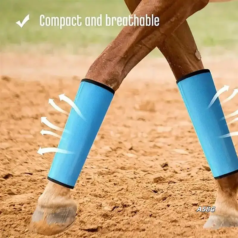 4PCS Boots For Horses Set Of 4 Horse Leggings Leg Wraps Sport Training Professional Supplies
4PCS Boots For Horses Set Of 4 Horse Leggings Leg Wraps Sport Training Professional Supplies