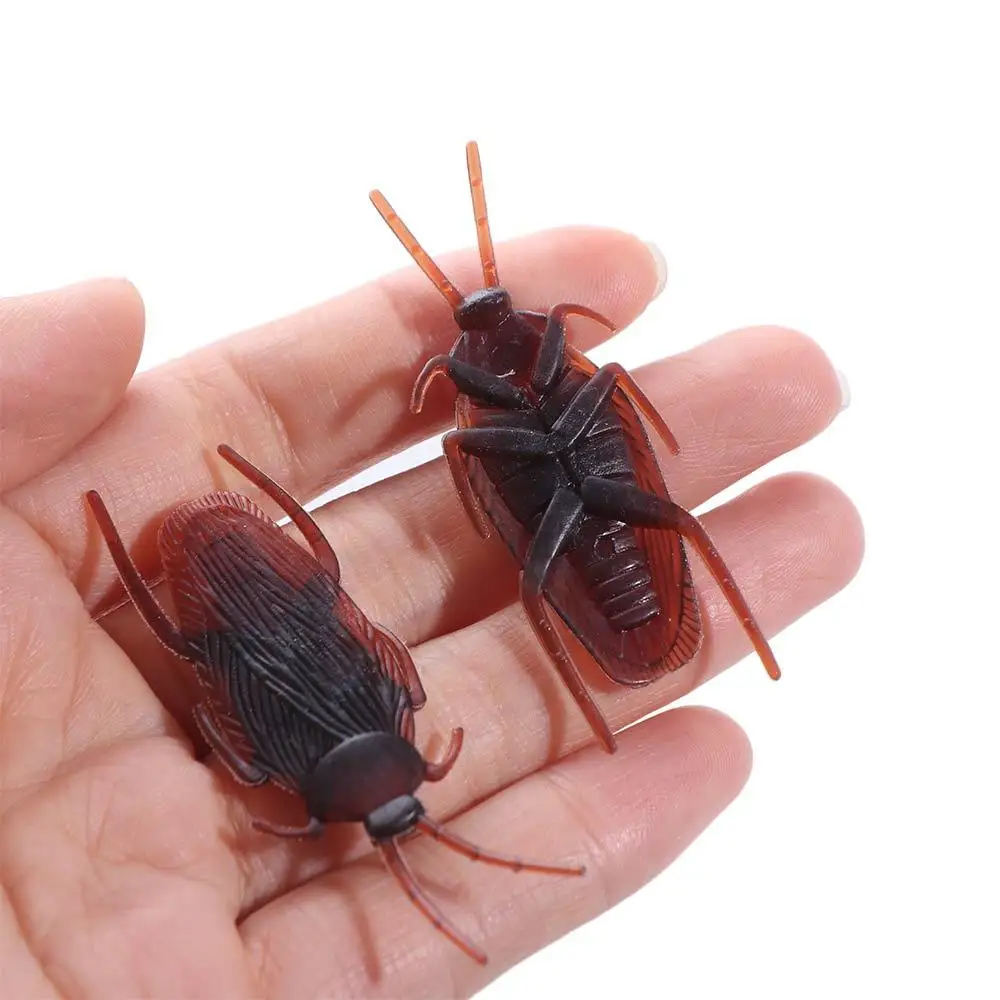 50pcs Lifelike Simulation Cockroach Trick Bug Roaches Fake Cockroach Funny Realistic Cockroach Prank Men Women
50pcs Lifelike Simulation Cockroach Trick Bug Roaches Fake Cockroach Funny Realistic Cockroach Prank Men Women