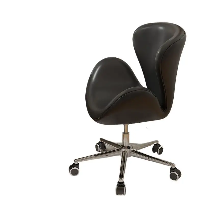 Makeup chair light luxury bedroom dresser stool home girls backrest swan chair ins desk dressing
Makeup chair light luxury bedroom dresser stool home girls backrest swan chair ins desk dressing