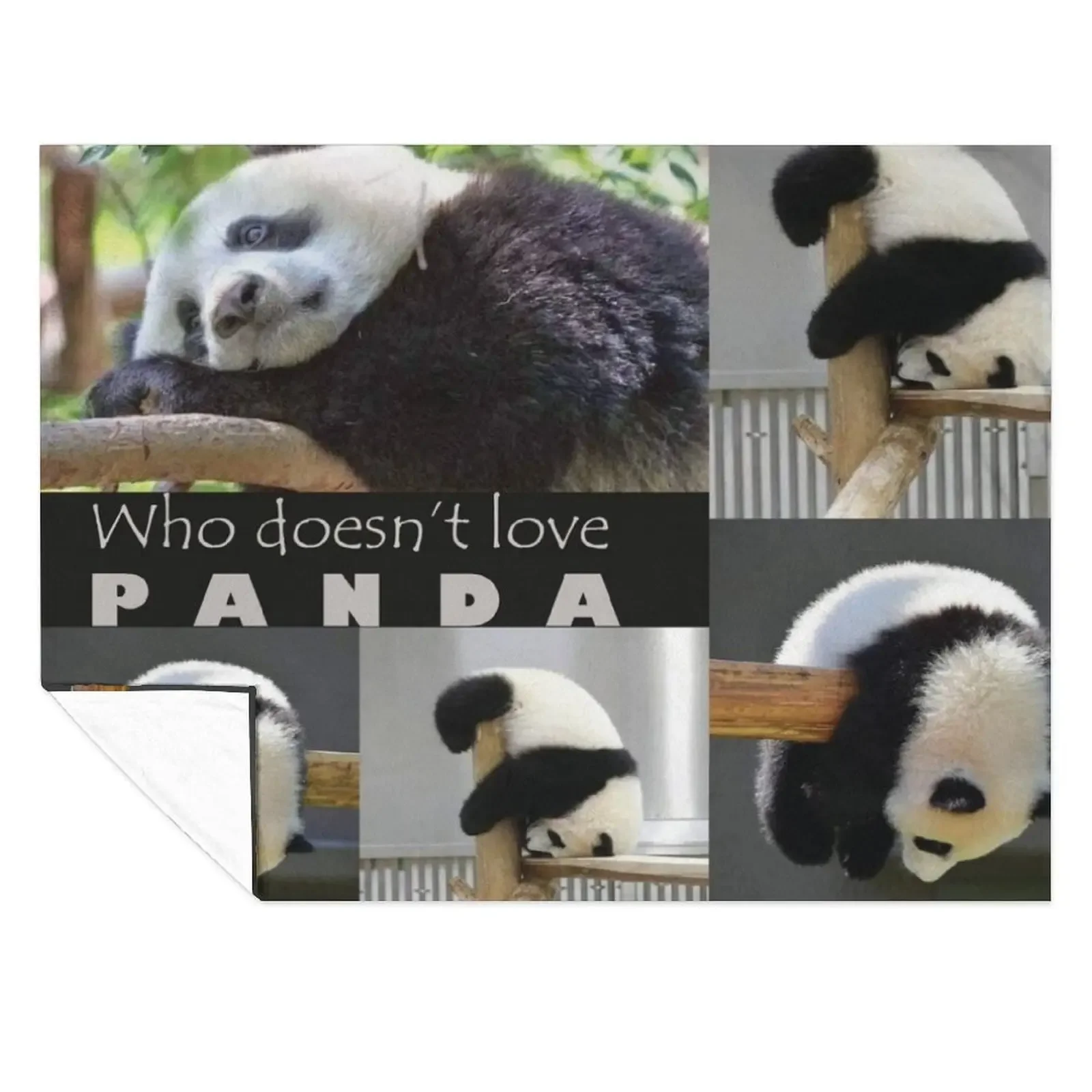 Who doesnat love P A N D A !! Throw Blanket christmas decoration Giant Sofa Bed Sofa Quilt Blankets
Who doesnat love P A N D A !! Throw Blanket christmas decoration Giant Sofa Bed Sofa Quilt Blankets