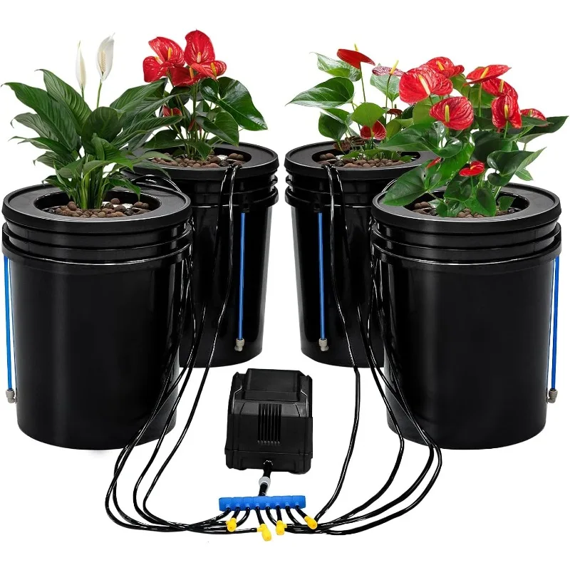 Hydroponics Growing System Kit With Top Drip 5 Gallon 4-Bucket Recirculating DWC Hydroponic System Kit Not Easy To Leak For Grow
Hydroponics Growing System Kit With Top Drip 5 Gallon 4-Bucket Recirculating DWC Hydroponic System Kit Not Easy To Leak For Grow