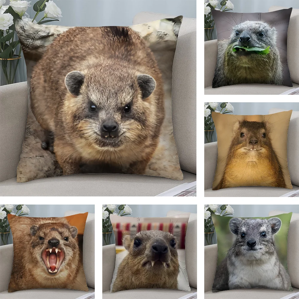 Rock Hyrax Animal Pillow Case Short Plush Pillow Covers Sofa Decorative Gift Home Double-sided Printing Cushion Cover
Rock Hyrax Animal Pillow Case Short Plush Pillow Covers Sofa Decorative Gift Home Double-sided Printing Cushion Cover