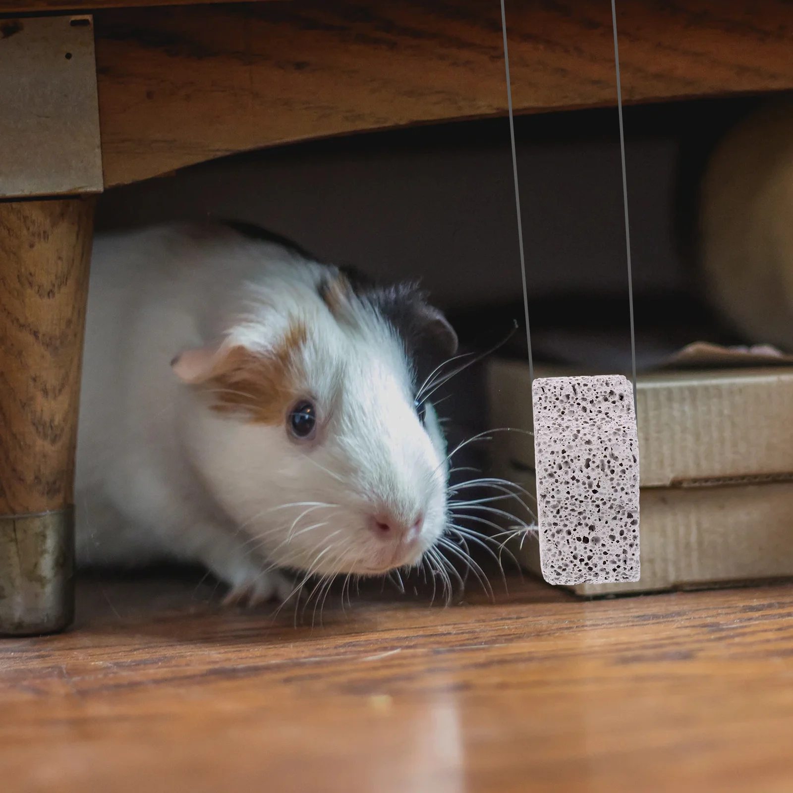 12Pcs Pet Chew Stone Pack for Hamster and Rabbit Natural Mineral Teeth Grinder Healthy Calcium Supplement Cage Accessory
12Pcs Pet Chew Stone Pack for Hamster and Rabbit Natural Mineral Teeth Grinder Healthy Calcium Supplement Cage Accessory