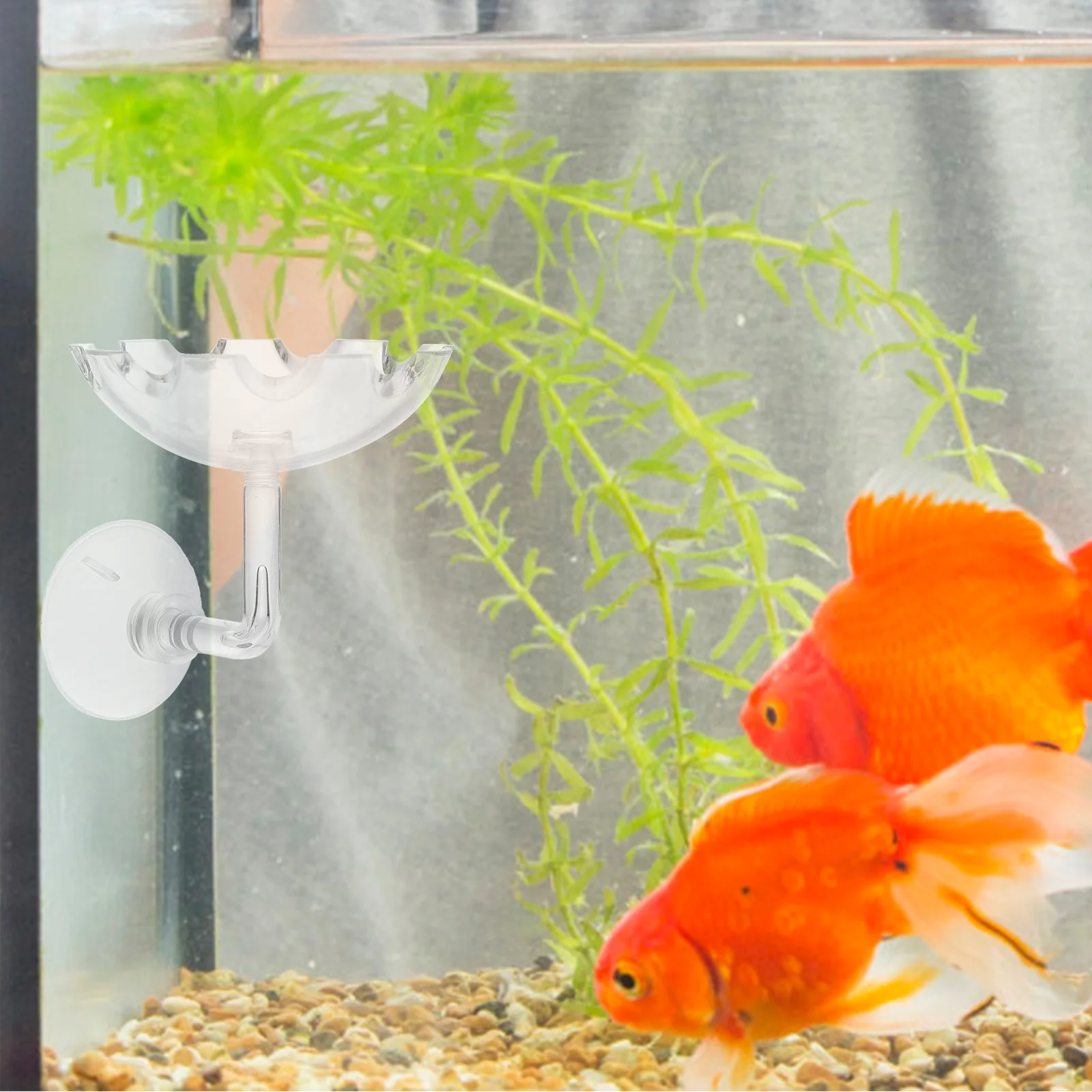 Shrimp Feeding Dish Acrylic Transparent Crystal Feeder Aquarium Feeding Tray Suction Cup Food Bowl Decorative Shrimp Food Bowl
Shrimp Feeding Dish Acrylic Transparent Crystal Feeder Aquarium Feeding Tray Suction Cup Food Bowl Decorative Shrimp Food Bowl