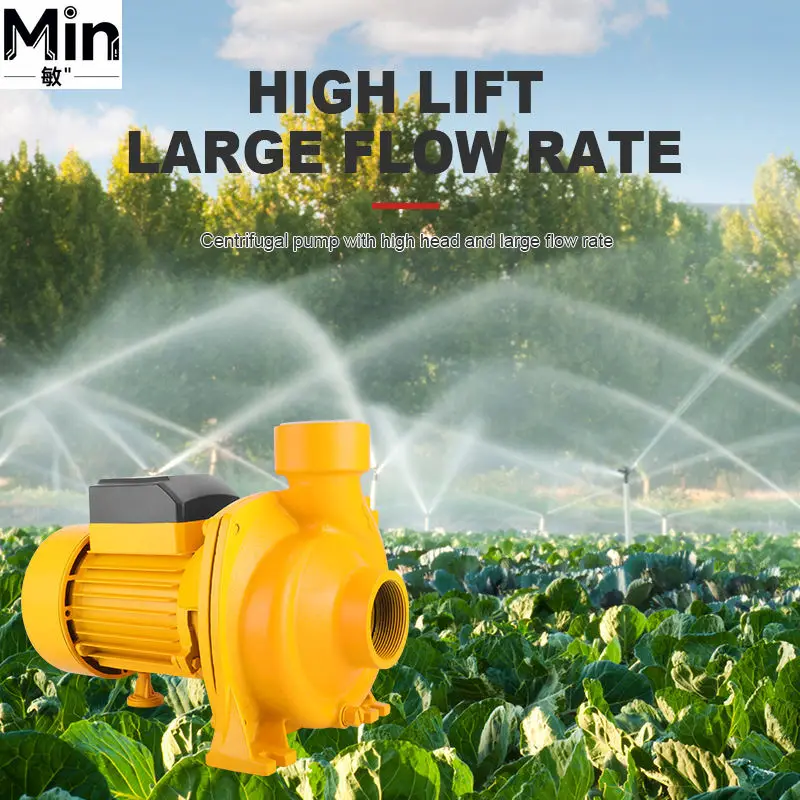Hot Sale Self-priming Centrifugal Pump Low Noise Agricultural Irrigation Residential Water Pump
Hot Sale Self-priming Centrifugal Pump Low Noise Agricultural Irrigation Residential Water Pump