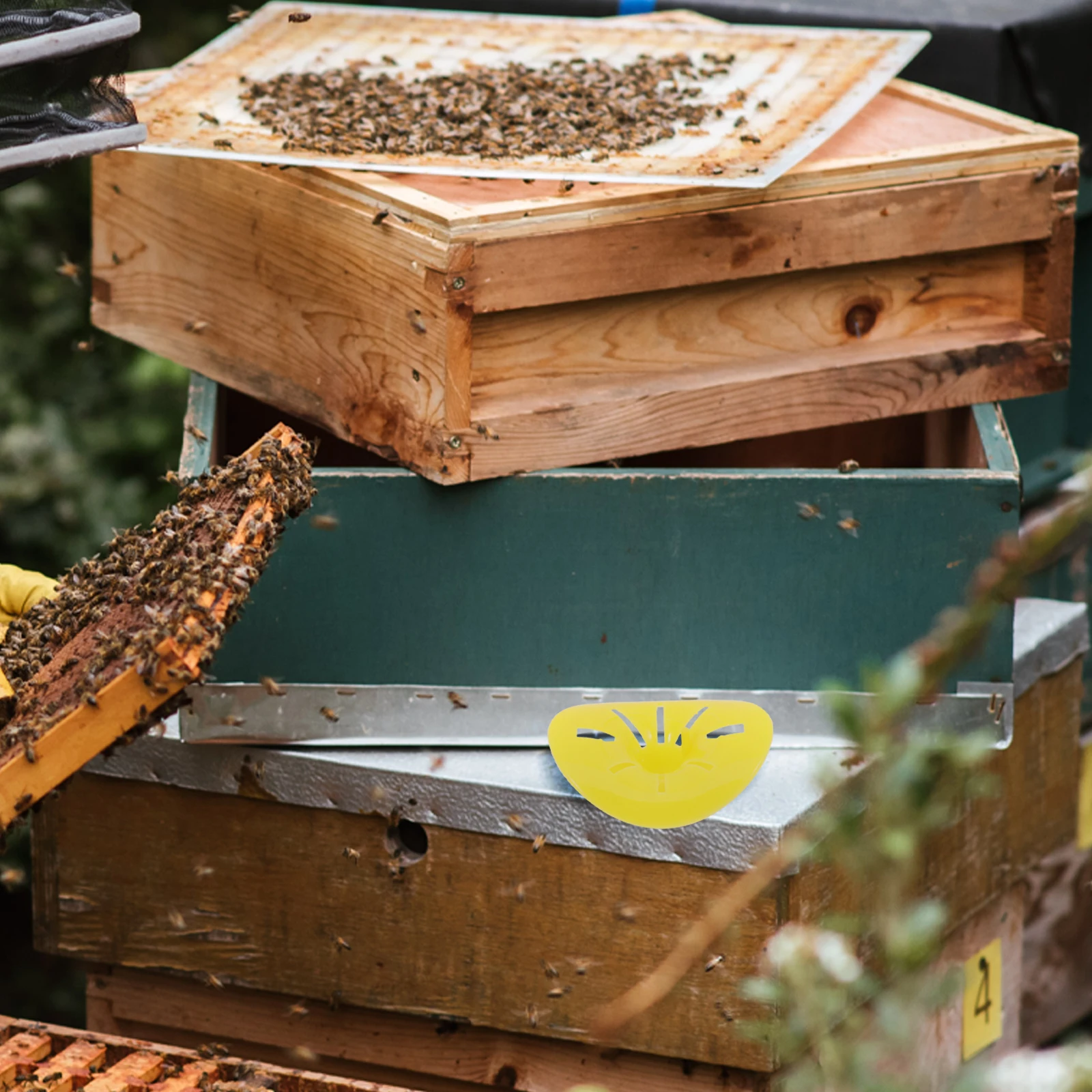 6Pcs Beekeeping Hive Escape Equipment Cone Shape One-Way Entrance Gate Bee Escape Valve Hive Management Tools Nest Gate
6Pcs Beekeeping Hive Escape Equipment Cone Shape One-Way Entrance Gate Bee Escape Valve Hive Management Tools Nest Gate